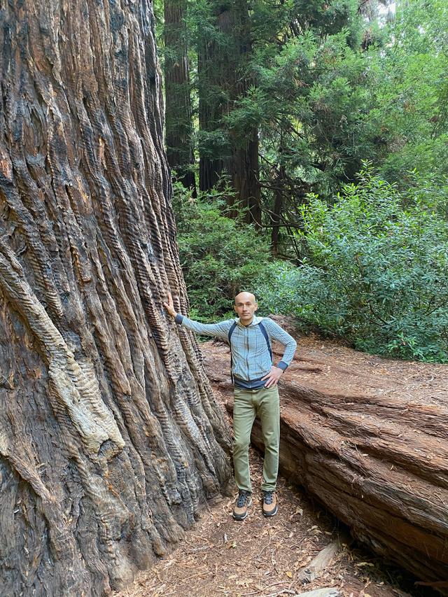 Reza Kaabi- Muir Woods